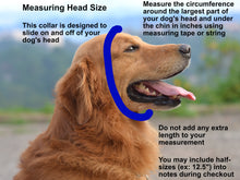 Load image into Gallery viewer, Leather Slip Dog Show and Training Collar
