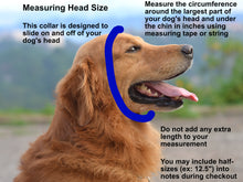 Load image into Gallery viewer, Leather ID Tag Collar
